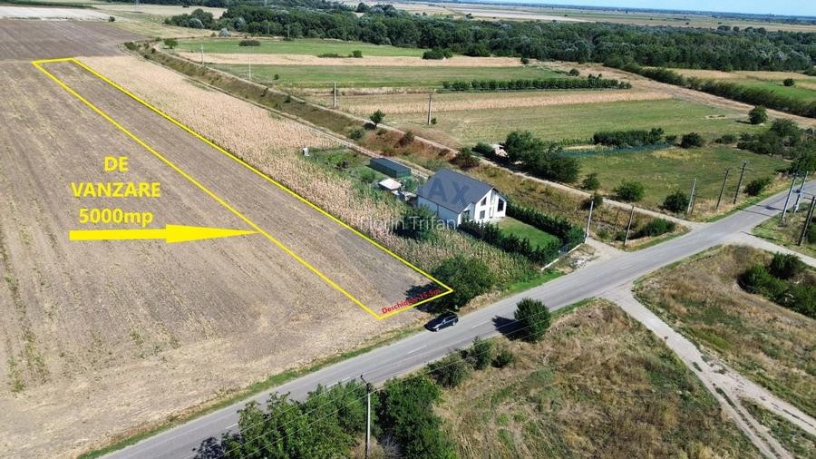 Teren 5,000mp Vanatori