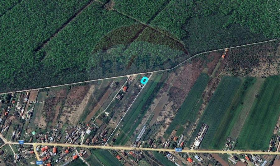 Teren intravilan, 450mp, Gruiu/Ilfov - 3