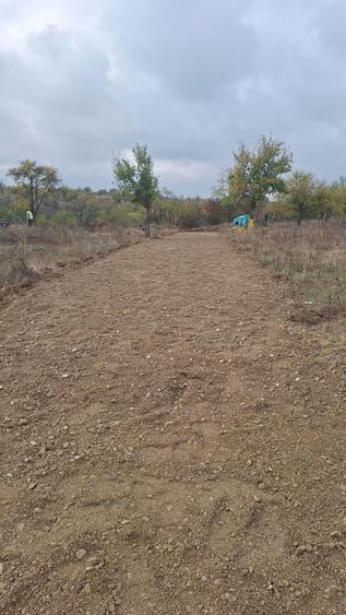 Proprietar vand lot 500mp teren extravilan Prahova - 8