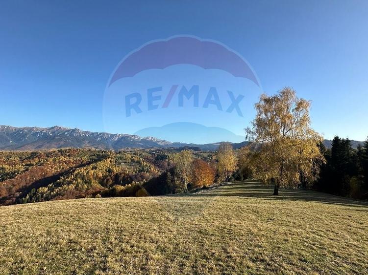 Oportunitate de investiție ! Teren de vis în Pestera - 125.370 mp - 17