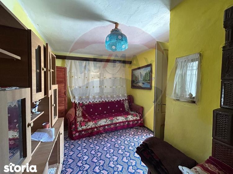 Casa bunicilor de vanzare. - 11