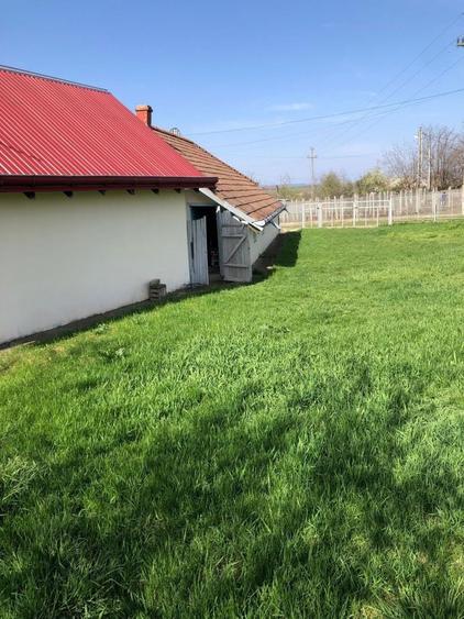 Vand teren intravilan 2000mp belcesti cu utilitati si acte la zi - 7