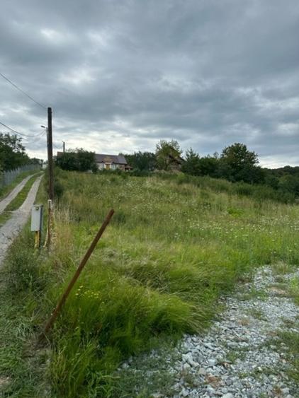 AUREL VLAICU teren intravilan 2000mp cu proiect deosebit! - 3