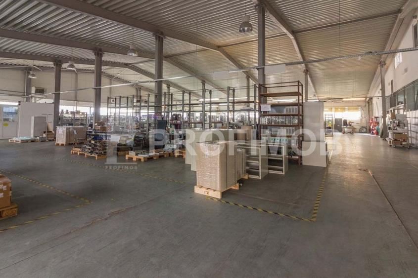 Vanzare hala de depozitare + birouri P+1 Otopeni - 3