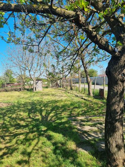 Casa de vanzare + teren la 30km de Constanta - 4