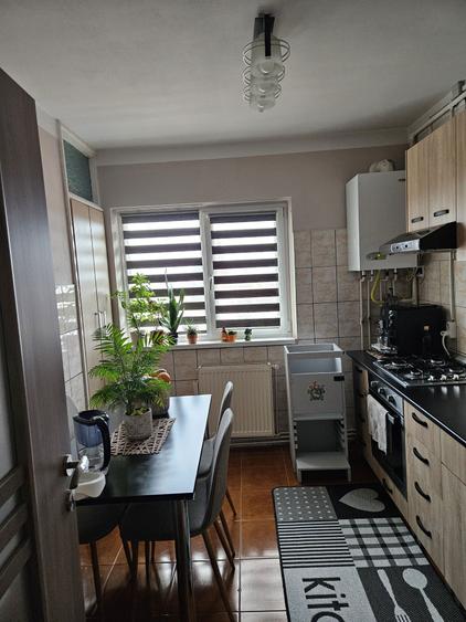 Proprietar - Apartament 2 camere decomandat, strada Lunga , Terezian, - 8
