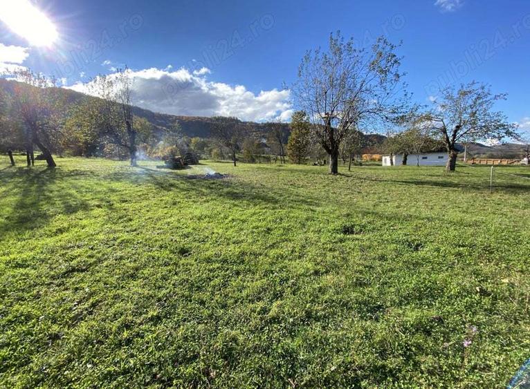 Vand casa si teren 10000mp - 7