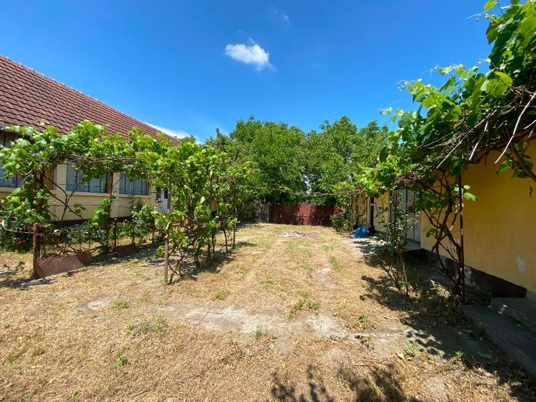 Proprietar vand casa de vacanta gata de locuit in Cebza , sat linistit - 2