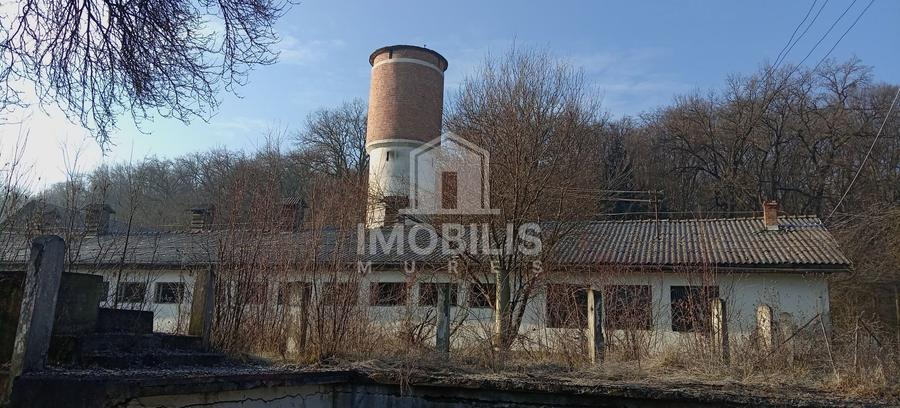 Teren intravilan I 13134 mp I cu potențial de business | zona Budiu - 10