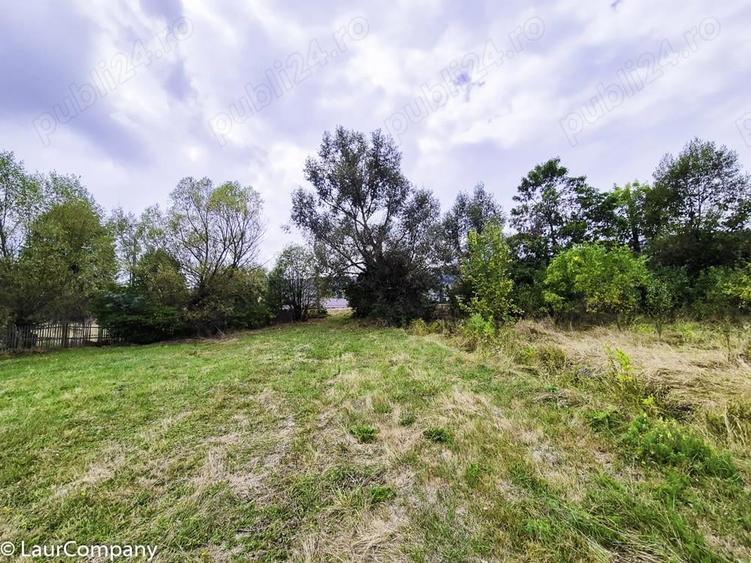 Teren 1,4 hectare Draganu Arges - 1