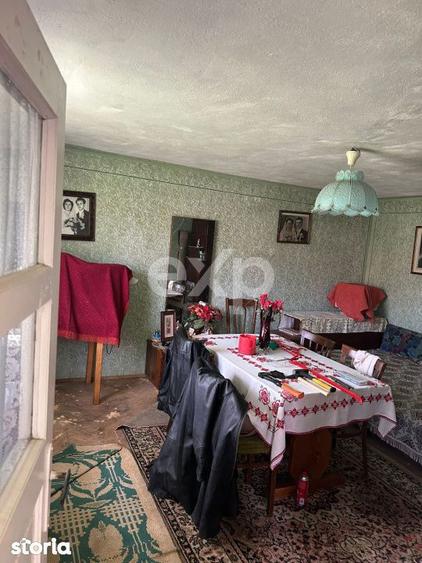 Casa la tara cu teren 3940 mp si livada zona linistita - 4