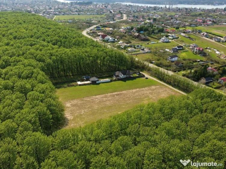 Exclusivitate-proiect unic in Padurea Snagov! Loturi teren 400-600 mp. - 5