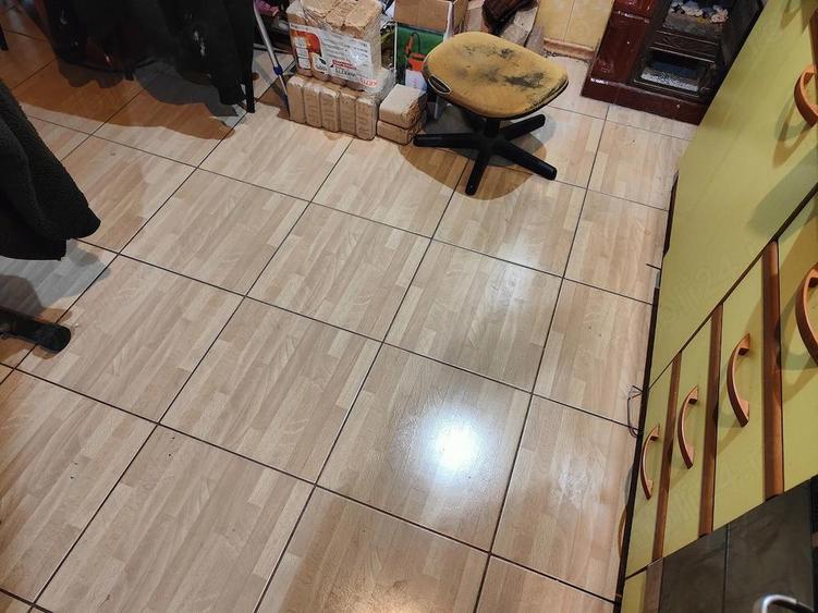 Vand casa cu teren intravilan (total 6308 m ) - 5