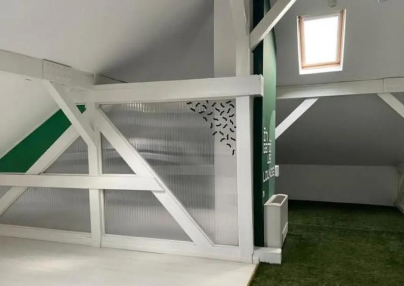 Spatiu birouri 200 mp mansarda - 2