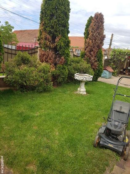 Complex 2 case intr-o curte - 1