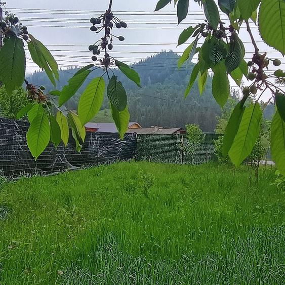 Teren de vanzare Frasin, Gura Humorului - 2