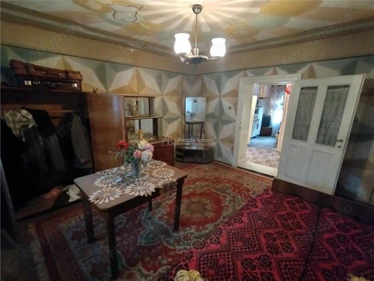 Bogodint, Casa cu 4 Hectare Teren, Pret Negociabil - 4