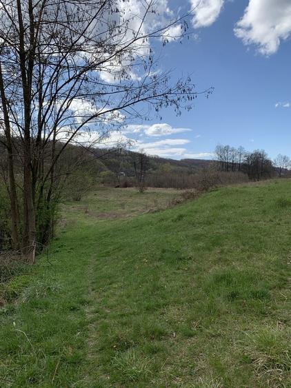 Vand teren retras, deosebit - 4