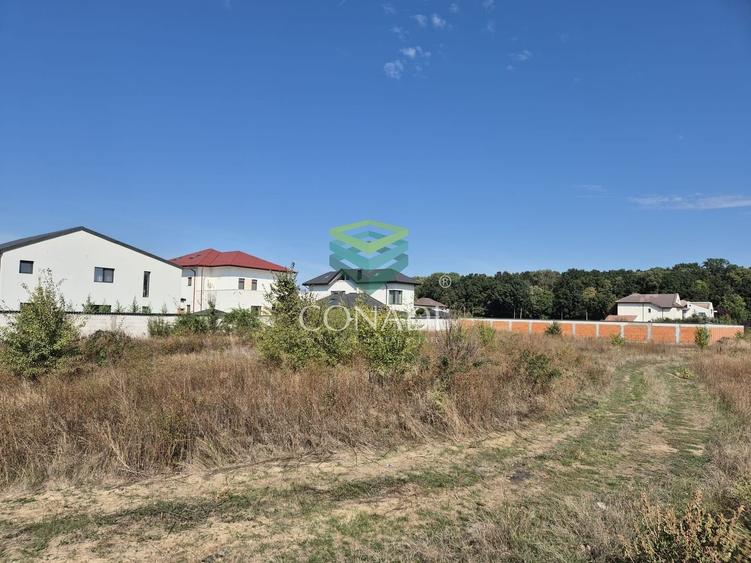 Teren de vanzare - Voluntari - zona Matei Millo - 3