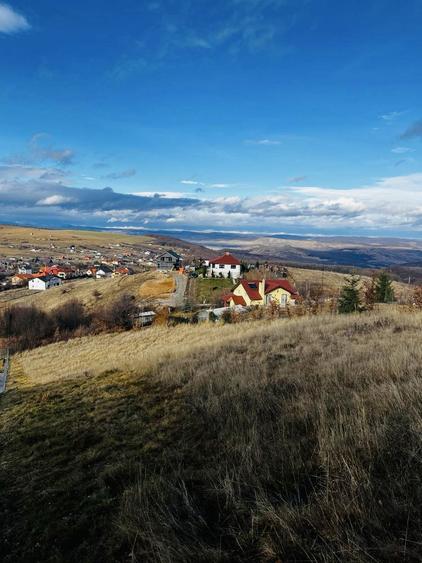 Vand Teren Salicea 4500mp partial intravilan / extravilan - 1