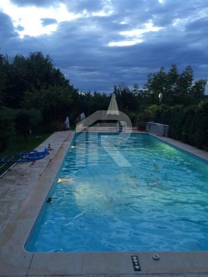 O Poveste de Vis pe Malul Lacului Snagov - 56