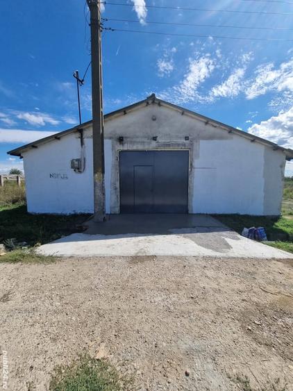 Hala Depozit de inchiriat - 4