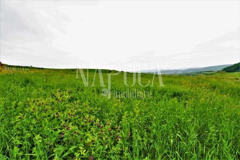 Teren extravilan pentru constructii de vanzare in Popesti - 3