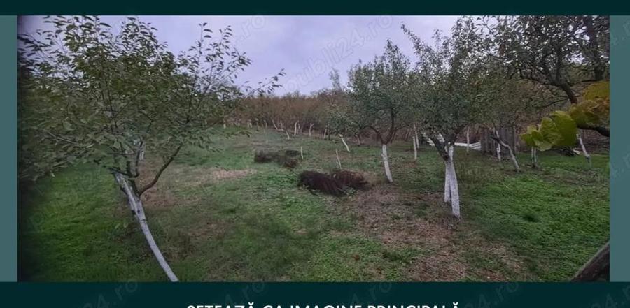 Casa de vanzare- - 6