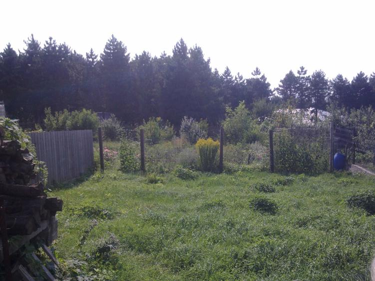 Vila in Bucium - Paun - 7