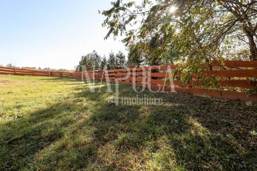 Casa 6 camere de vanzare in Feleacu - 12