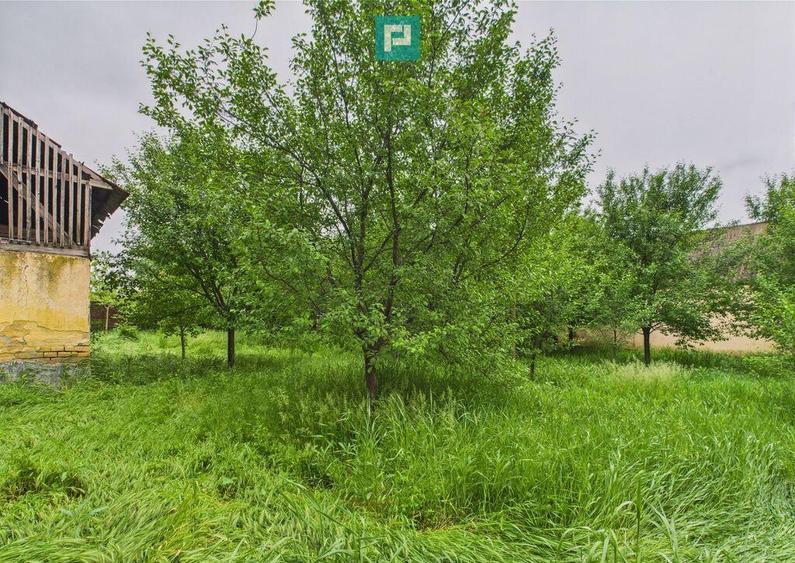 Casa de reabilitat pe teren generos- Comuna Varia? - 10