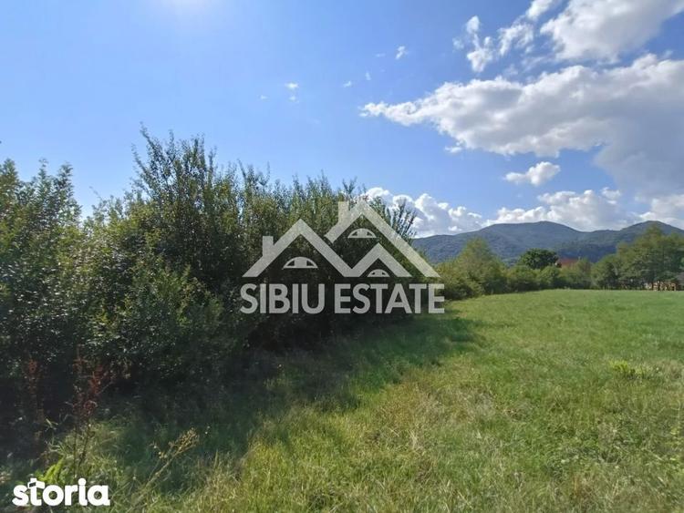 Teren construibil ,la sosea, intre Vale si Sibiel, zona cu potential - 7