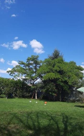 Trapezului Vand teren intravilan in zona Drumul Lunca Prutului - 1