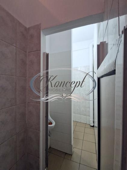 Spatiu comercial cu terasa si vitrina, Dambul Rotund - 10