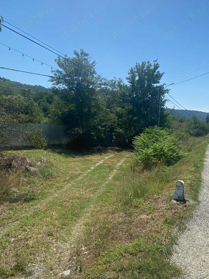Teren + casa Hinova - 3