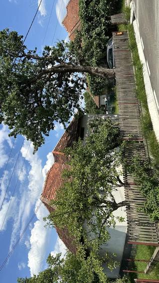Vand Casa Batarci - 7