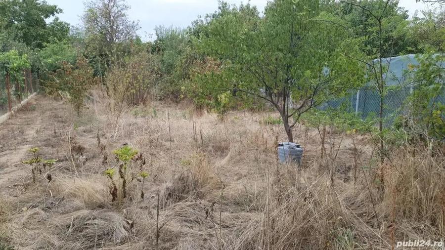 Vand casa in Alexandria - 1