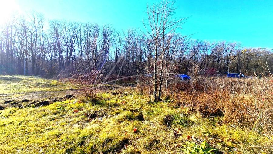 Teren intravilan, 2 fronturi, Drumul Padurea Pustnicu 65 - Greenfield - 7