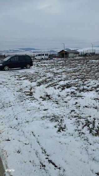 Teren cenura ocolitoare dr tr severin - 2