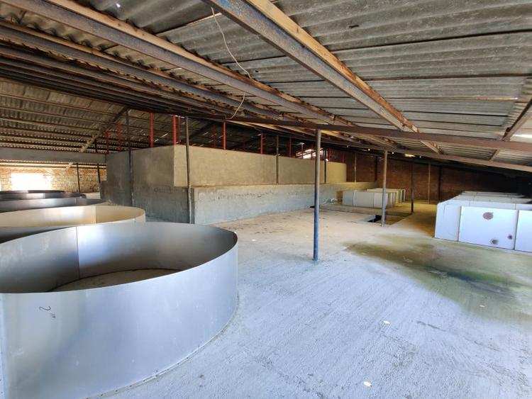 COMISION 0% Oportunitate de afacere/acvacultura in sistem RAS/3150 mp/Cisnadie - 7