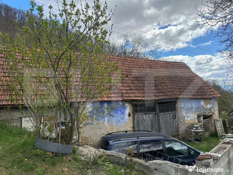 Casa cu 1.2 ha teren, lini?te totala, livada, acces asfa - 14