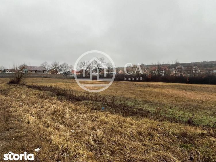 Teren intravilan de vanzare in Beiu?, Bihor - 3