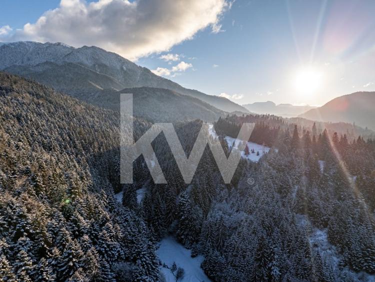 Teren pentru turism / complex vile la intrare in CANIONUL ȘAPTE SCĂRI - 4