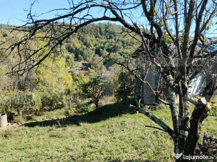 Teren cu priveli?te superba , livada ?i poten?ial casu? - 12