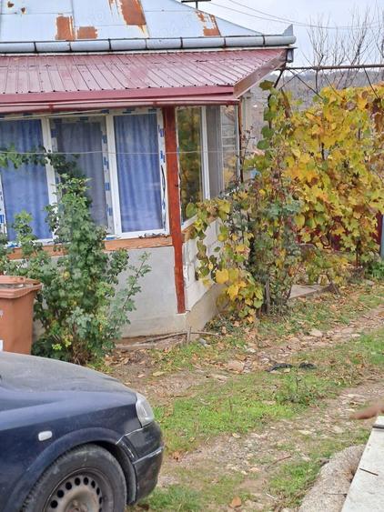 Vand casa su gradina , Baiceni , Judetul Iasi - 9