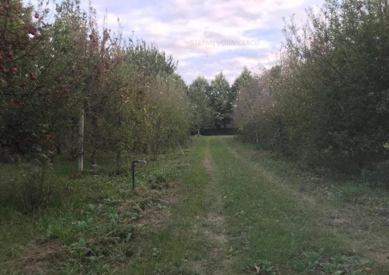 Teren la Strada EUROPEANA , CU TOATE UTILITATILE parcele de - 9