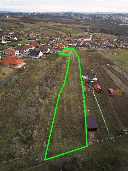 RECO . Teren intravilan Saldabagiu de munte . - 5