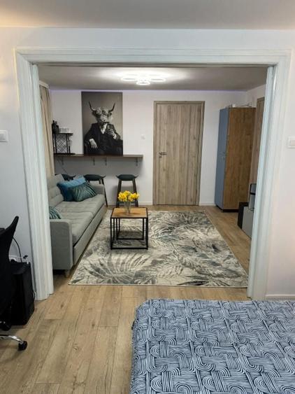 Apartament confortabil cu doua camere, Cismigiu- Casa Radio - 2