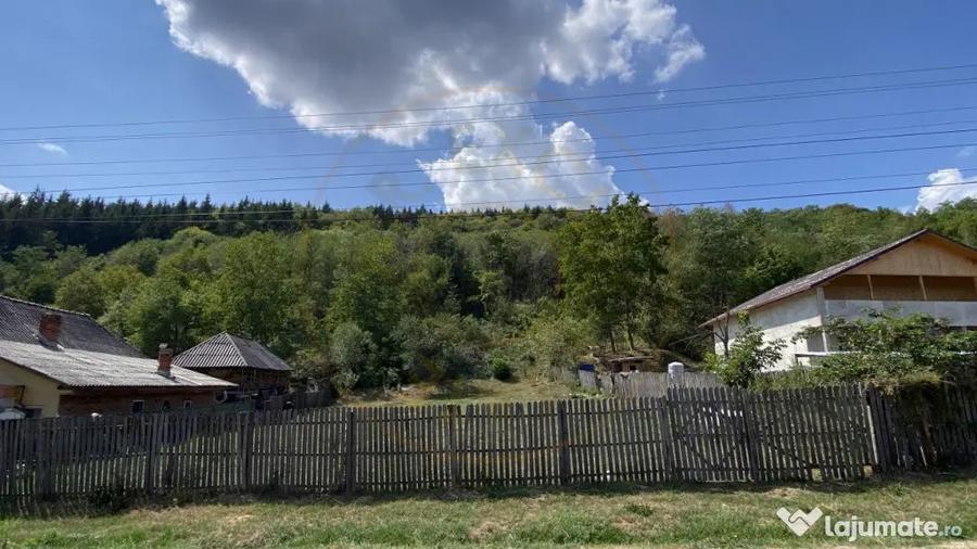 Teren de 4000 mp, în Aninoasa