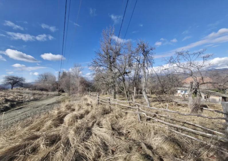 Teren intravilan 10.000 mp | Deschidere 40 m | Zona de pad - 1